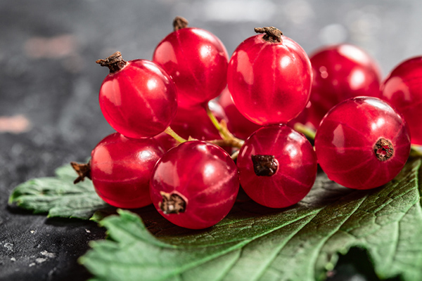 File:Alaska wild berries.jpg - Wikipedia