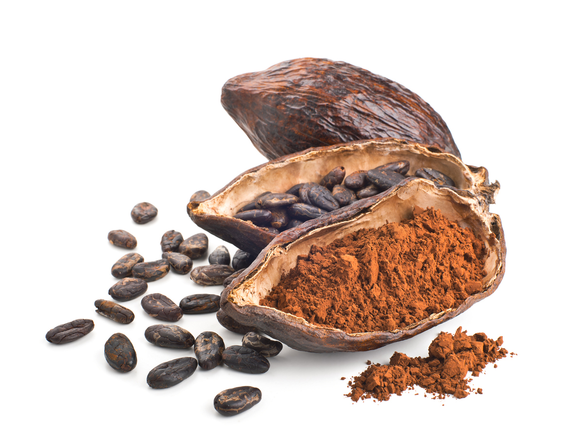 Cocoa pod, beans and powder isolated on a white background