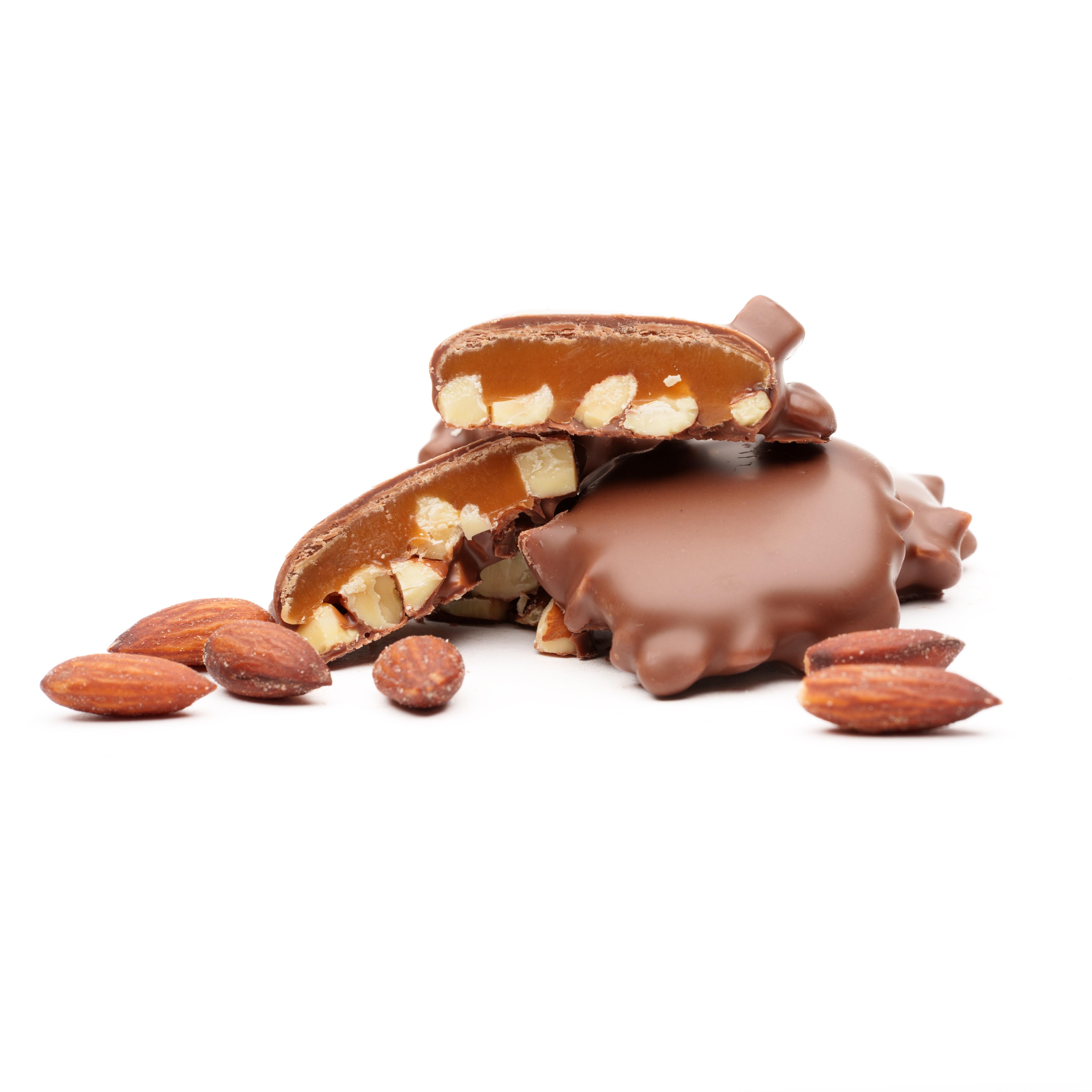 Grizzly Bear Claws - Image 2